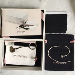 Pandora snake chain bracelet.